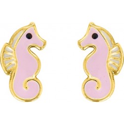 Hippocampes - Boucles...